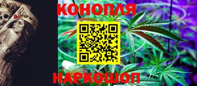 ПСИЛОЦИБИНОВЫЕ ГРИБЫ Балахна